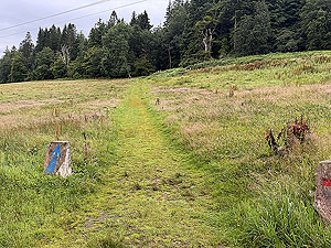 Inveraray Caslte : : Short grassy section of the trail