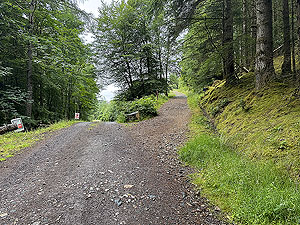 Inveraray Caslte : : The path on the right leads to the watchtower