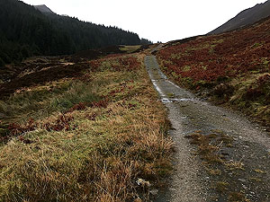 Glen Ample: : Early on the trail