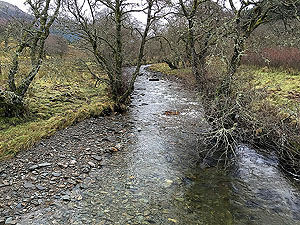 Glen Ample: : The Ample burn looking for the dipper