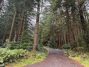 Glen Ample: : Across the road from the car park this is where it starts