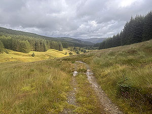 Glen Ample: : Approaching the Loch Earn side of the route