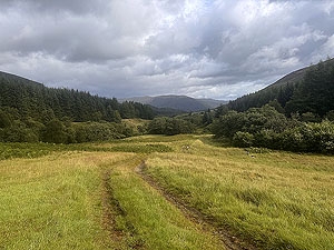 Glen Ample: : Very peaceful