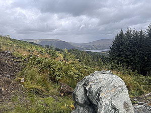 Glen Ample: : Loch Earn 
