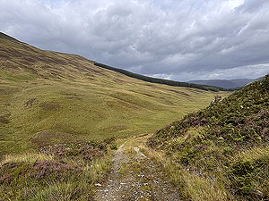 Glen Ample: : Looking down the glen