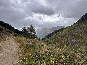 Glen Ample: : Looking towards the start direction