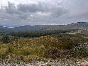 Dunoon Ultra : Runners in the distance