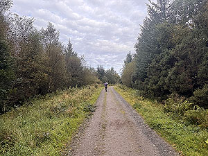 Highland fling : Heading towards Conic hill