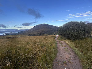 Highland fling : Path narrows and Loch Lomond in sight