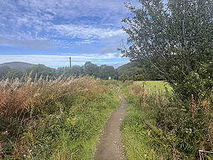 Highland fling : Heading towards Rowerdennen