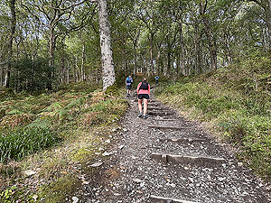 Highland fling : One of the many wee hills