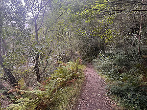 Highland fling :  Parts are not too bad for running