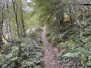Highland fling : Path alongside the loch