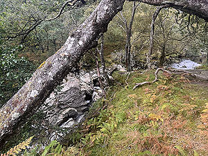 Highland fling : Falls of Falloch, from the other side