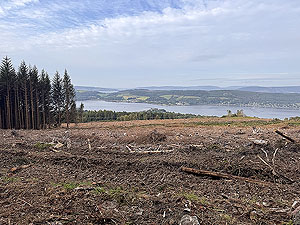HAAC - Highland mans way : Forest work is improving the view