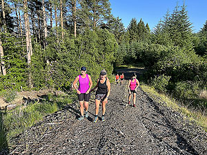 HAAC Gouk Hill : Parts are tough