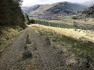 View towards Balquhidder