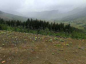 A view down the glen from Balquhidder station