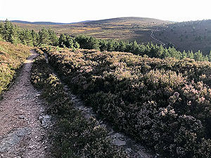 Looking back at the path travelled on the second half of the run