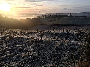 Early winter sunshine