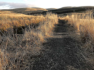 Part of the short trail section on the Sherrifmuir loop
