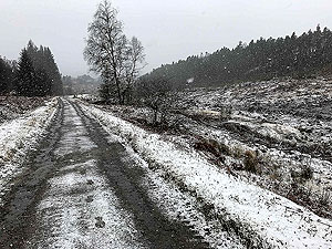 Running in the slush
