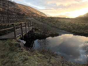 January pictures