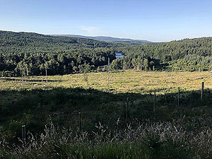 The river Dee on the run towards the finish