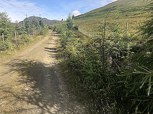 Near the end of the first half of the Glen Loin loop
