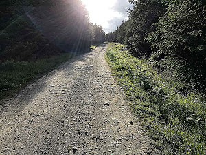 Pitfitchie run in the sun