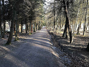 Sunshine on Cocksburn reservoir running route