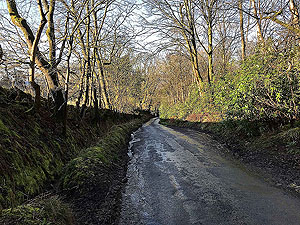 Road towards Stirling university
