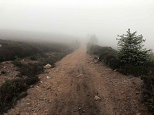 Mist on the Firmounth