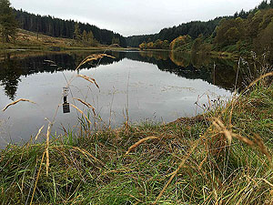 The Stank, a small fishing lochan.