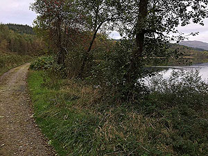 Early morning at Loch Ard