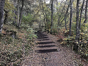The Birks in autumn at Aberfeldy