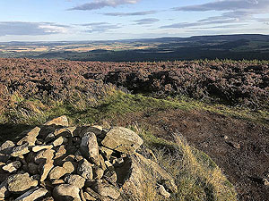 Evening sunshine on the Pitfitchie loop