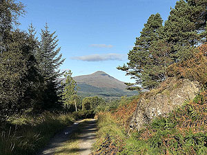 Looking back towards Ben Lomond